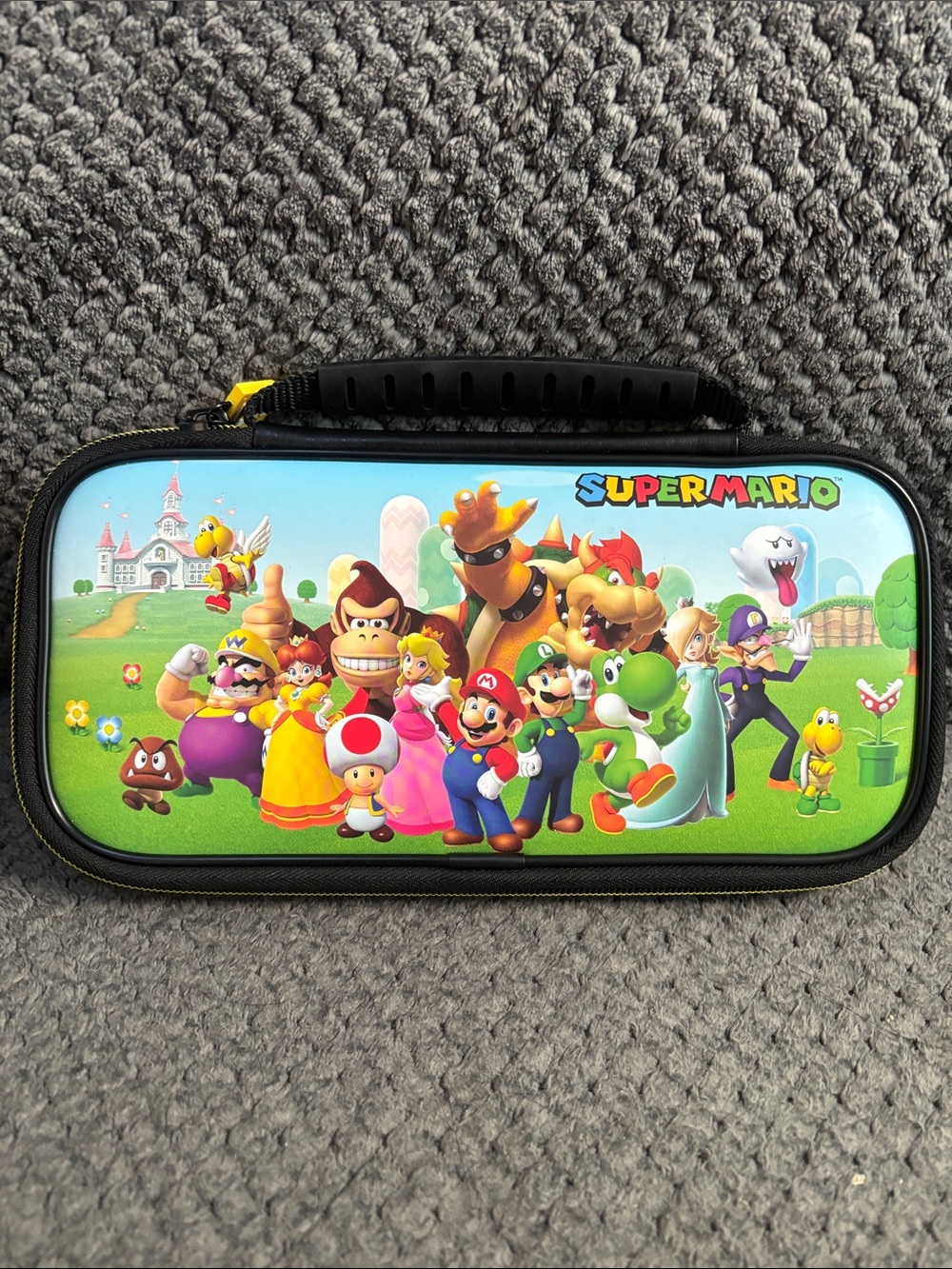 Super Mario Travel Switch (1) Case